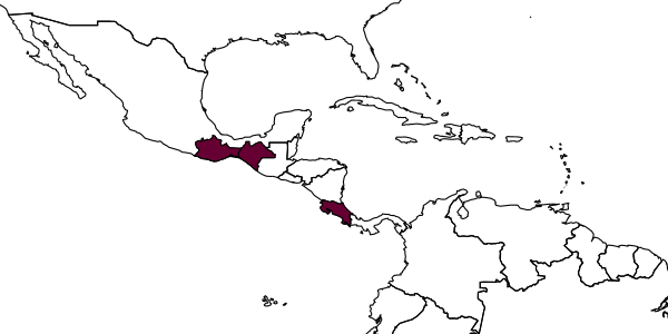 map of Perditorulus porcodon     Hansson, 1996